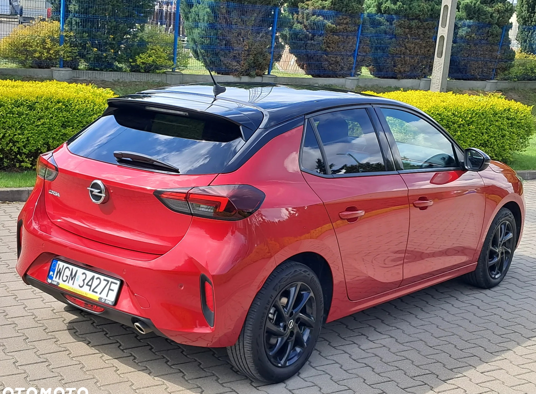 Opel Corsa cena 63900 przebieg: 34000, rok produkcji 2021 z Żyrardów małe 254